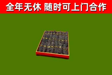 太白回收海参